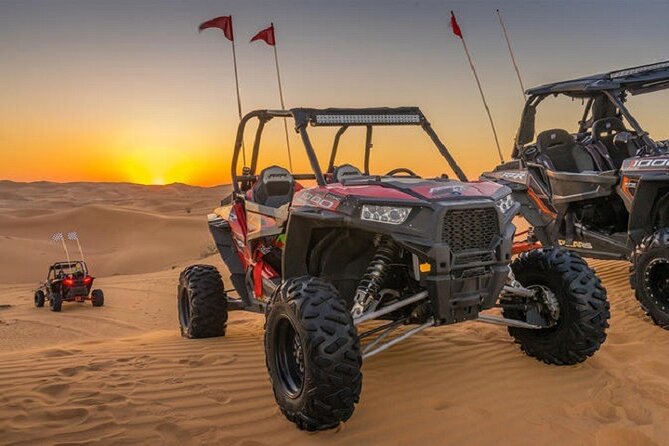 1-Hour Desert Buggy Self-Drive Adventure: Camel Ride & Sandboard - The guide can shape the whole outing