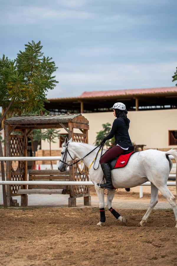 1 Hour Horseback Dubai Desert Park Ride - Key points to know before you book