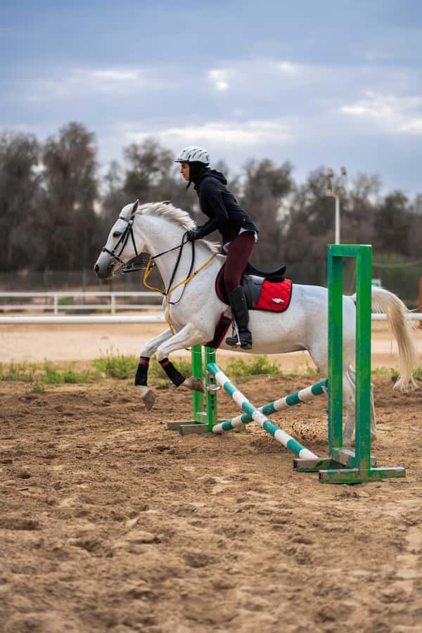 1 Hour Horseback Dubai Desert Park Ride - The horses and the people guiding you