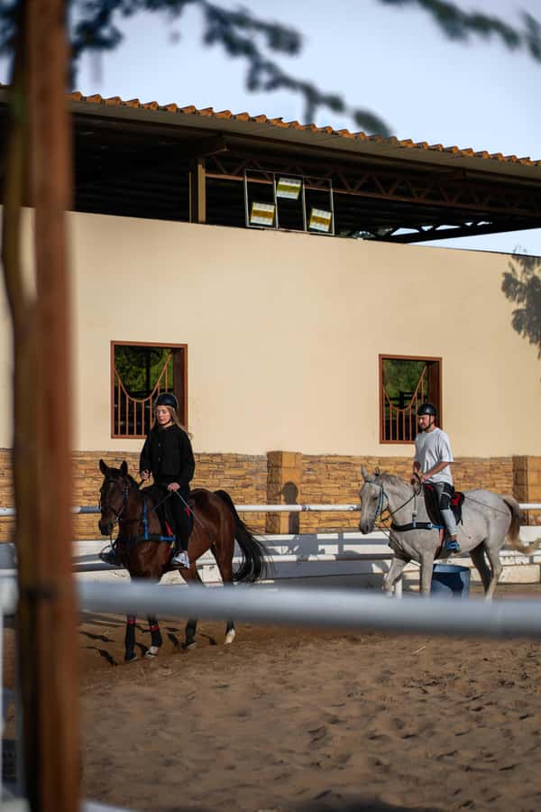 1 Hour Horseback Dubai Desert Park Ride - Is $99 fair value for one hour?