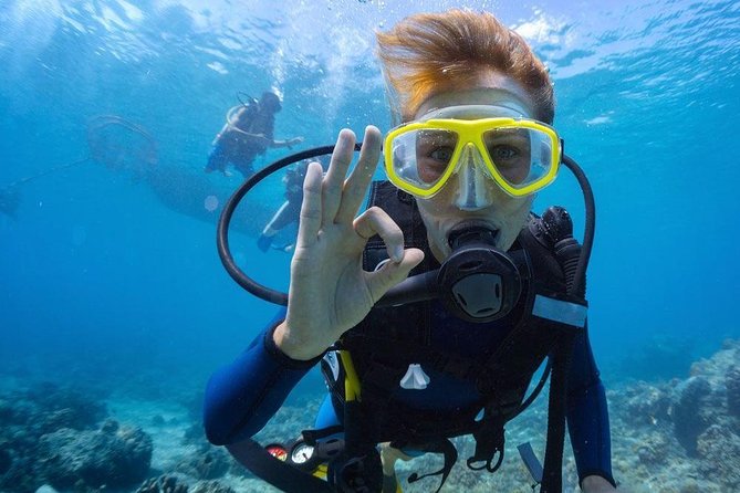 3-Day PADI Open Water Diving Course in Dubai - Key points to know before booking