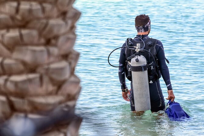 3-Day PADI Open Water Diving Course in Dubai - Four open-water sessions in Dubai