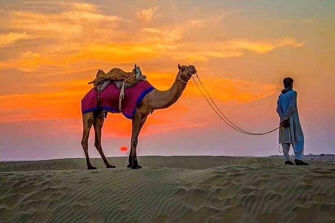 4 Hours Desert Safari - Dune bashing across the red sand