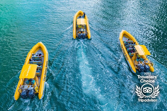 45-Minute Thrilling Speedboat Tour to Atlantis Hotel - Practical details that affect your day