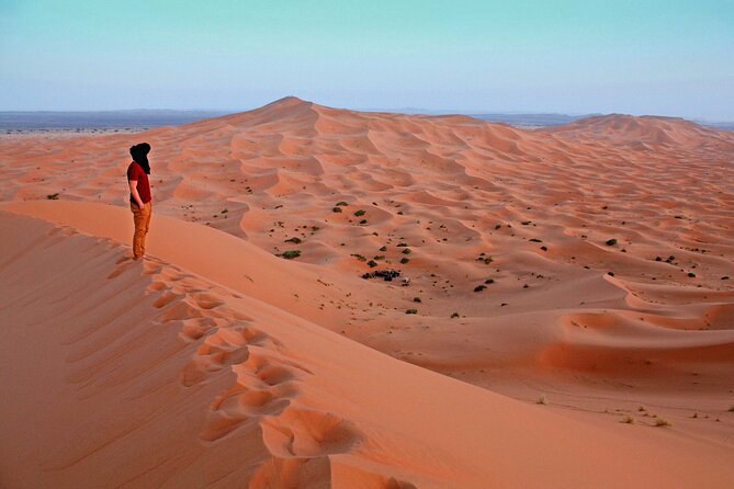 4x4 Arabian Adventure Desert Safari with BBQ Dinner - Leaving Dubai for the Red Dunes