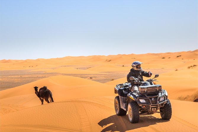 4x4 ATV Quad Biking Dubai Desert Tour - 1 Hour Experience - Riding a 250 to 400cc quad over the dunes