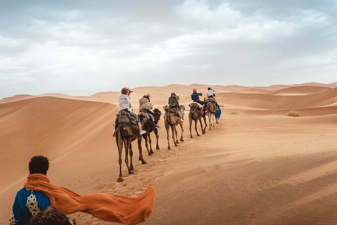 4x4 Desert Safari Abu Dhabi with BBQ Dinner - A six-hour Abu Dhabi desert evening