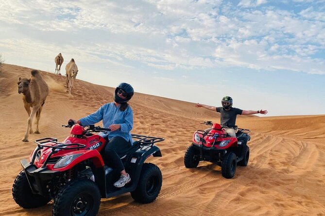 4X4 Dubai Desert Safari with BBQ dinner, Camels & Live Show - Who will enjoy this outing most?