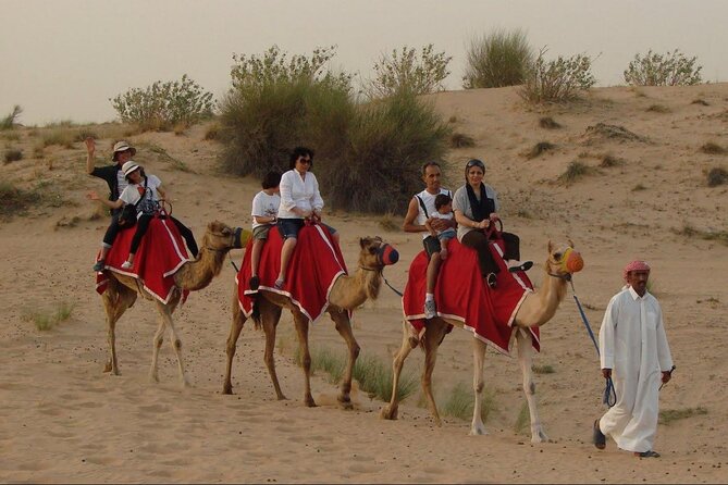 4x4 Self-Drive Quad Bike Safari with Camel Riding - Booking and cancellation details to keep in mind