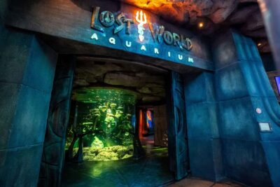 5-Day Pass: Hop-On Hop-Off, Lost World Aquarium, Dubai Frame