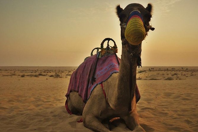 7-hour Small Group 4x4 Desert Safari Tour with Buffet Dinner in Dubai - The 4x4 dune drive is worth protecting