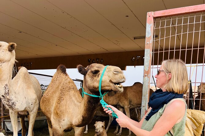 8 Hours Al Ain City Tour without lunch - Why Al Ain makes a worthwhile day from Abu Dhabi