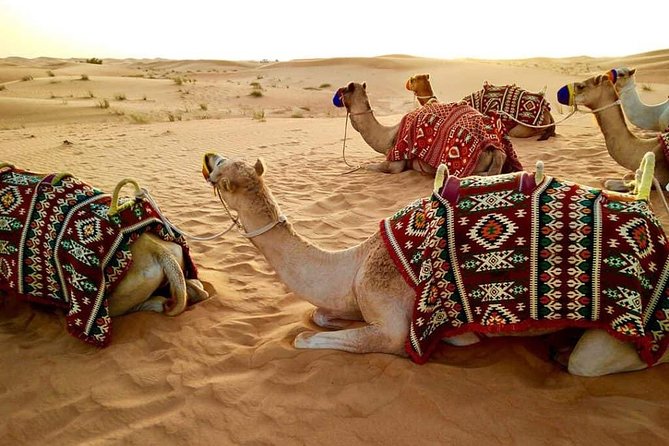 Abu Dhabi 4x4 Desert Safari BBQ Dinner , Camel Ride , Belly Dance - Leaving Abu Dhabi for Al Khatim