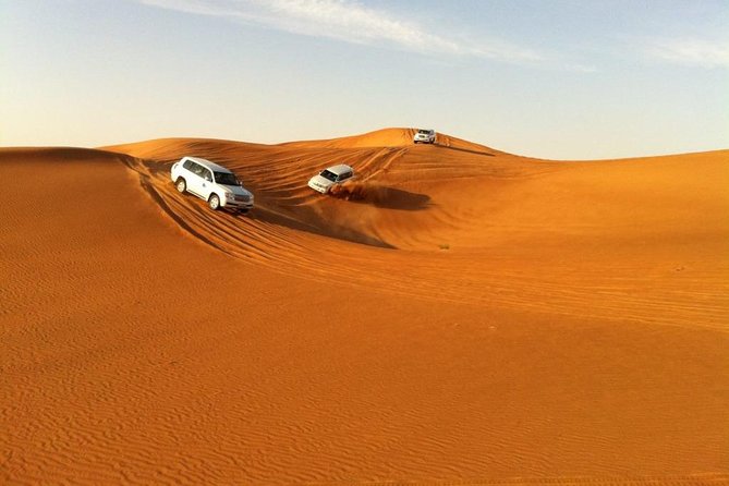 Abu Dhabi 4x4 Desert Safari BBQ Dinner , Camel Ride , Belly Dance - Photo stops, falcons, and the first taste of desert life