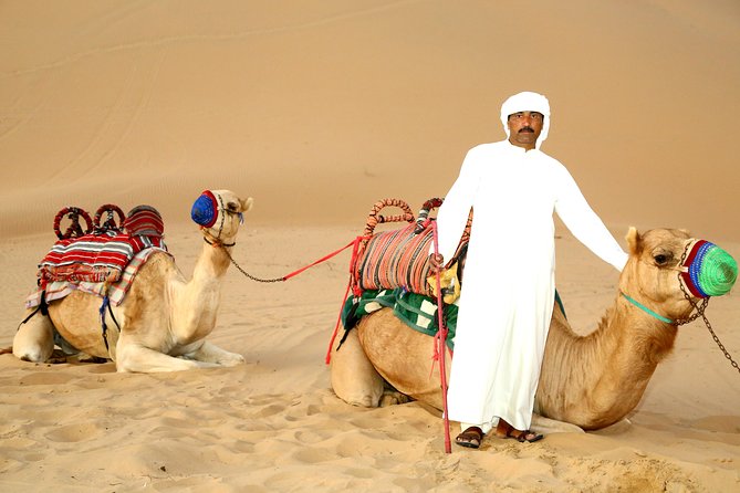 Abu Dhabi Afternoon Desert Safari and BBQ Dinner - The 4WD ride across towering sand dunes