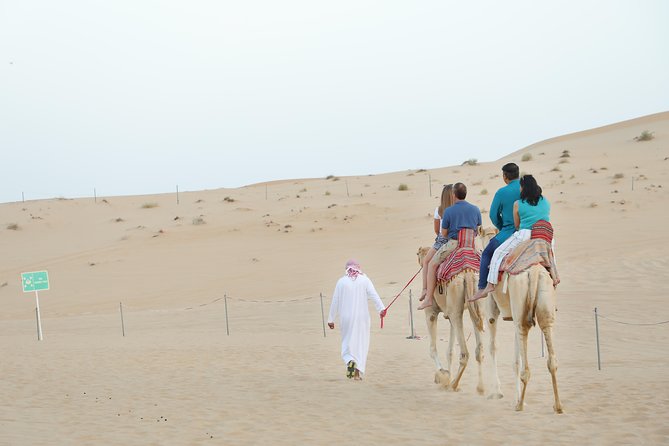 Abu Dhabi City Tour and Desert Safari - Sunset, camp dinner, and evening entertainment