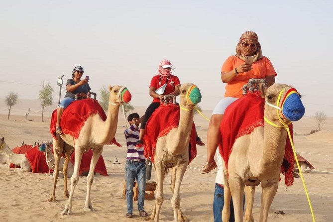 Abu Dhabi city tour & desert safari from Dubai - The long transfer to Lahbab