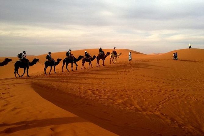 Abu Dhabi City Tour with Desert Safari Adventure - Dinner and entertainment at the desert camp