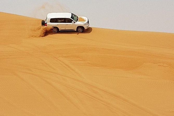 Abu Dhabi Desert Safari 4x4, BBQ Dinner, Camel Ride - A short camel ride with realistic expectations