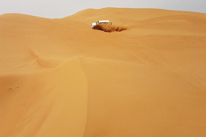 Abu Dhabi Desert Safari 4x4, BBQ Dinner, Camel Ride - Belly dance, Tanura, and fire performances