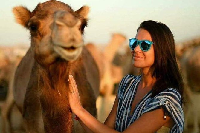 Abu Dhabi Desert Safari 4x4, BBQ Dinner, Camel Ride - Stargazing for about 10 minutes