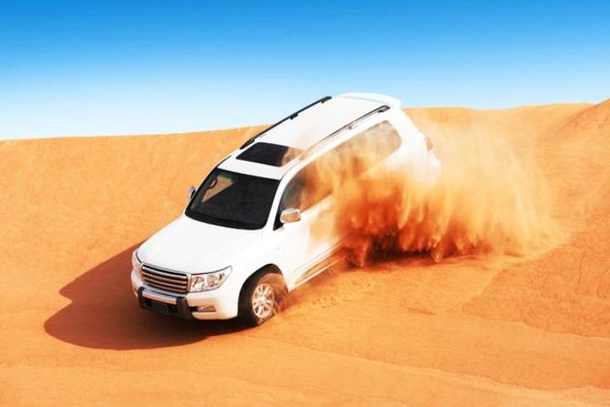 Abu Dhabi Desert Safari 4x4, BBQ Dinner, Camel Ride - The Al Khatim desert drive and photo stop