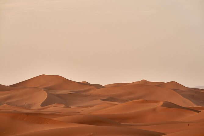 Abu Dhabi Desert Safari Tour with Shows & Buffet Dinner - Is $60 a fair price?