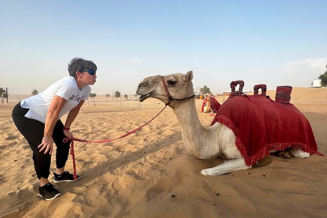 Abu Dhabi Desert Safari Tour with Shows & Buffet Dinner - Al Ajban and the 30-minute dune-bashing ride