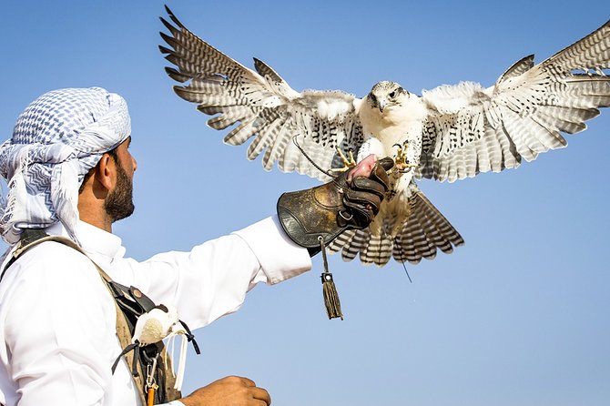 Abu Dhabi: Desert Safari with BBQ, Camel Ride & Sandboarding - Who will enjoy this Abu Dhabi desert outing