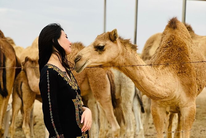 Abu Dhabi Desert Safari With BBQ Dinner & Live Shows - Sandboarding and sunset photos