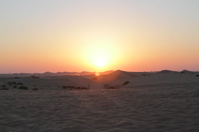 Abu Dhabi Desert Safari with BBQ Dinner & Shows - Leaving Abu Dhabi around 3 pm