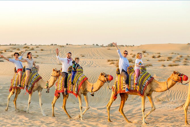 Abu Dhabi Desert Safari with Live Entertainment and Live BBQ - The 4x4 dune-bashing session