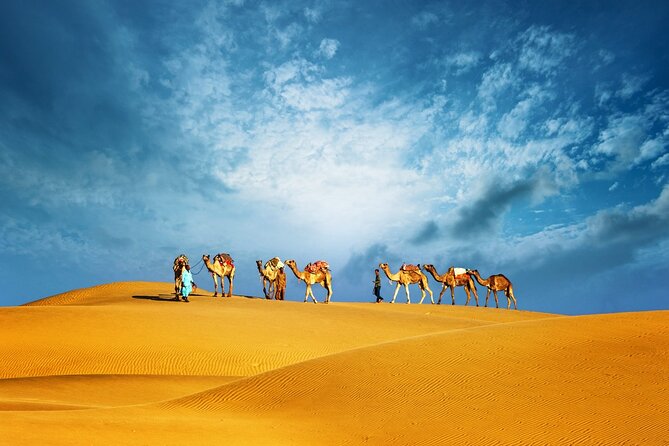 Abu Dhabi Evening Desert Safari Adventure - From Abu Dhabi Streets to Open Sand