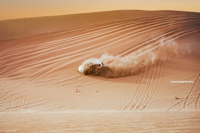 Abu Dhabi Evening Desert Safari BBQ, Camel Ride, Entertainments - Camel farm visit and a short ride