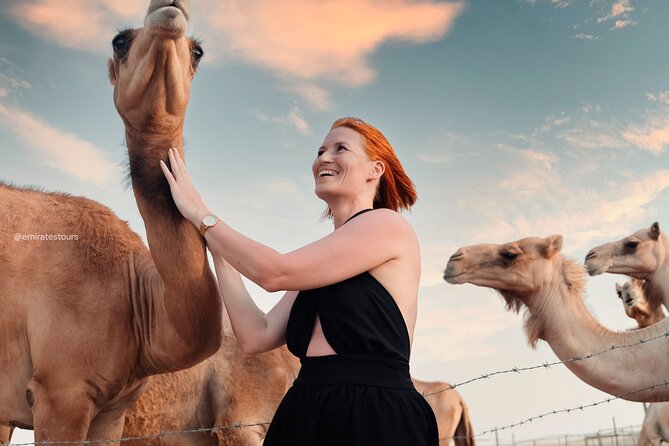 Abu Dhabi Evening Desert Safari BBQ, Camel Ride, Entertainments - Is the $72.98 price fair?