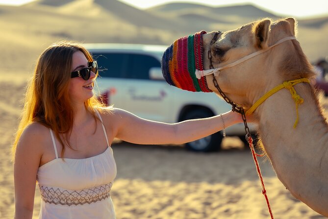 Abu Dhabi Evening Desert Safari - Private car Dune bashing & BBQ - Which driver might you get?