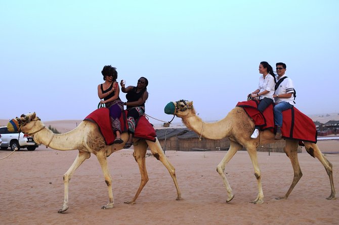 Abu Dhabi Evening Desert Safari with BBQ Dinner and all Camp Activities - Sandboarding and the rush of dune bashing