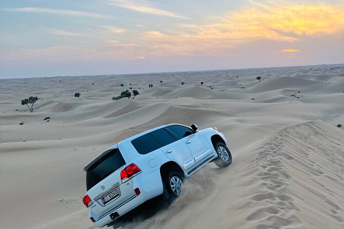 Abu Dhabi: Evening Desert Safari with Camel Ride, BBQ & Live Show - A camel farm, feeding, and a short ride