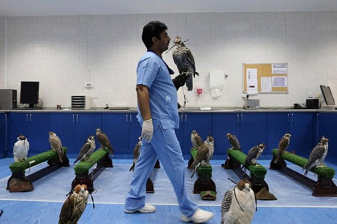 Abu Dhabi Falcon Hospital Tour - Watching falcons fly in the aviary