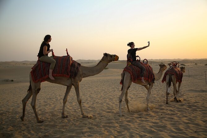 Abu Dhabi Half Day Desert Safari - Falcon photos, henna, and the cultural costume stop