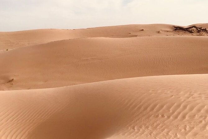 Abu Dhabi Morning Desert Safari,Dune Bashing,Sandboarding,Camel Riding&Quad Bike - The 10-minute quad-bike session