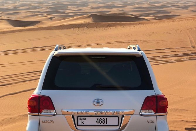 Abu Dhabi morning desert safari - Private car - Photo stops and camel encounters add local character