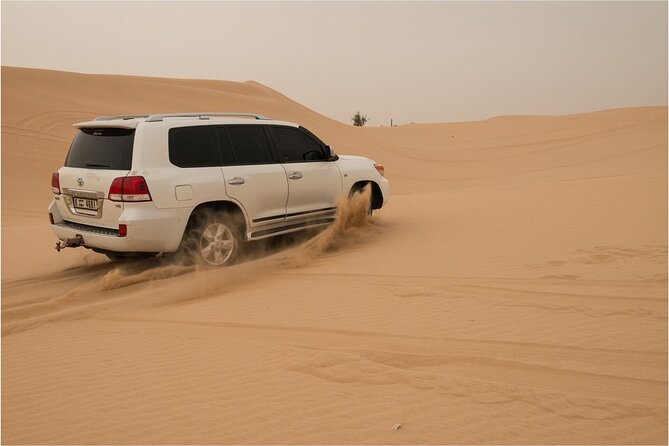 Abu Dhabi morning desert safari - Private car - The dune-bashing ride is the main event