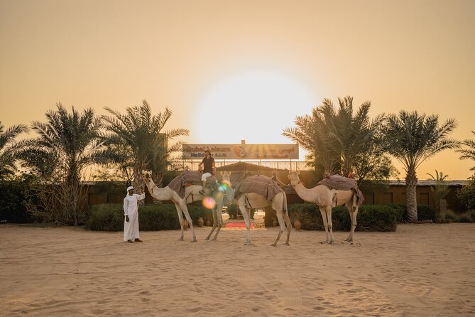 Adrenaline combo : Desert activities + ATV or Quad bike option - Who should book this desert combo