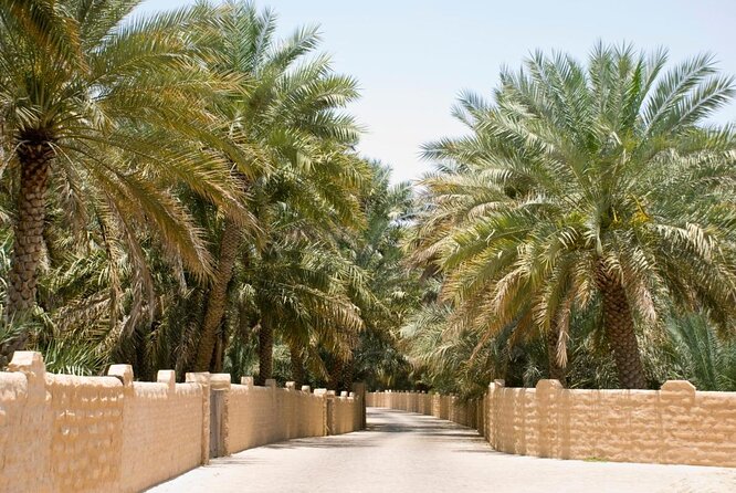 Al Ain City Sightseeing tour with Lunch from Dubai - The camel market and local life