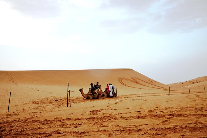 Al Ain Desert Safari with Buffet Dinner - Is $89 a fair price?