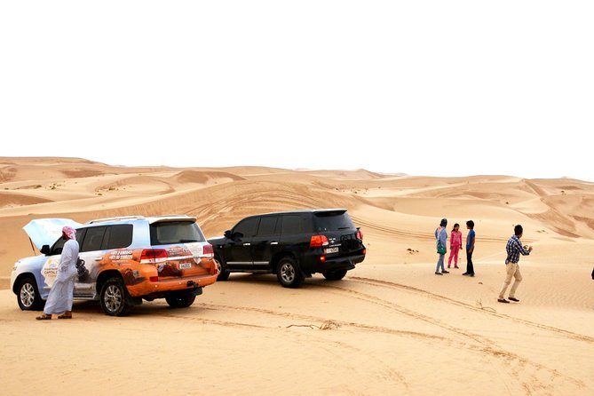 Al Ain Desert Safari with Buffet Dinner - The 4WD ride across the dunes