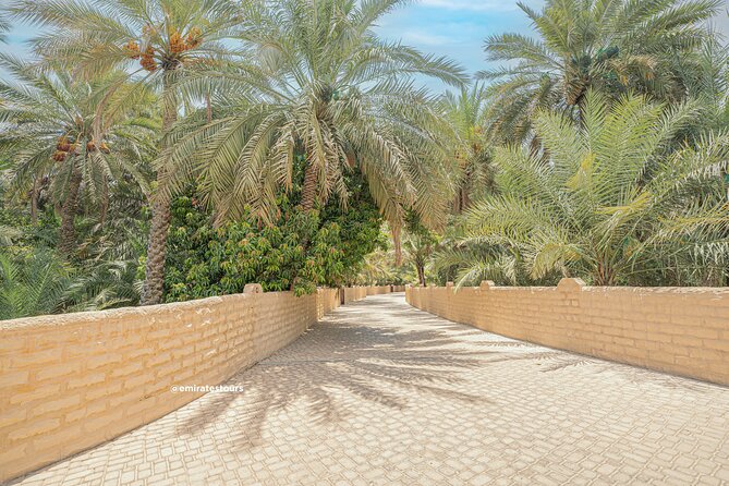 Al Ain Full Day Trip from Abu Dhabi with Lunch - Sheikh Zayed Palace Museum, with an important change