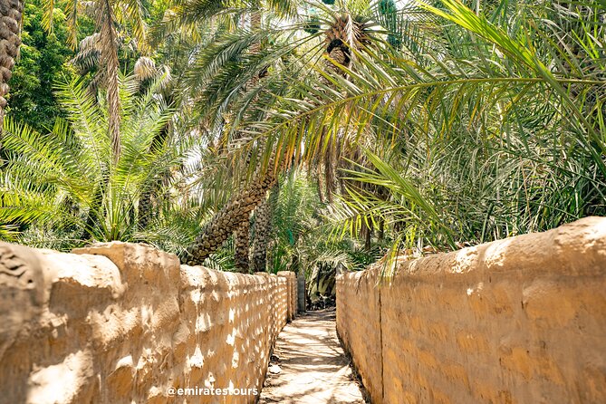 Al Ain Full Day Trip from Abu Dhabi with Lunch - What lunch adds to the day