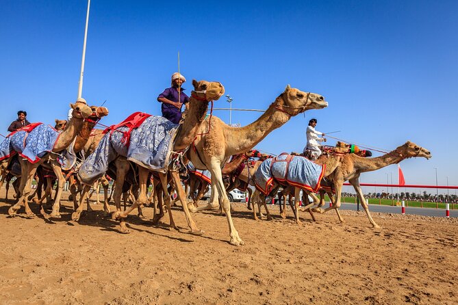 Al Ain Tour from Abu Dhabi - Al Ain Palace shows the family side of power